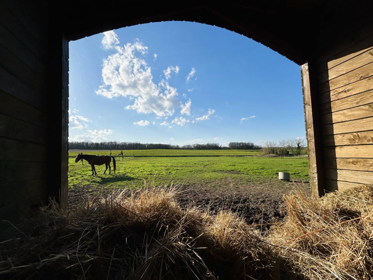 Propiedad rural En venta Vienne