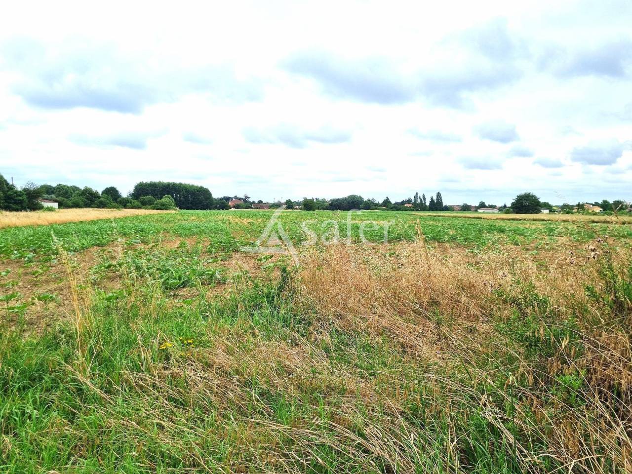 Propiedad rural En venta Tarn y Garona