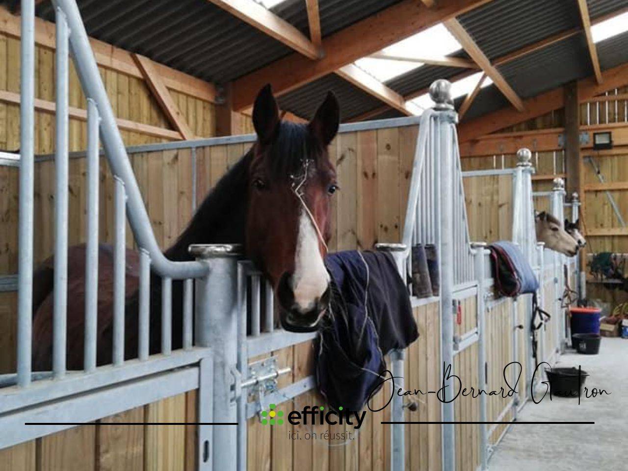 Cuadra de propietarios En venta Ile y Vilaine