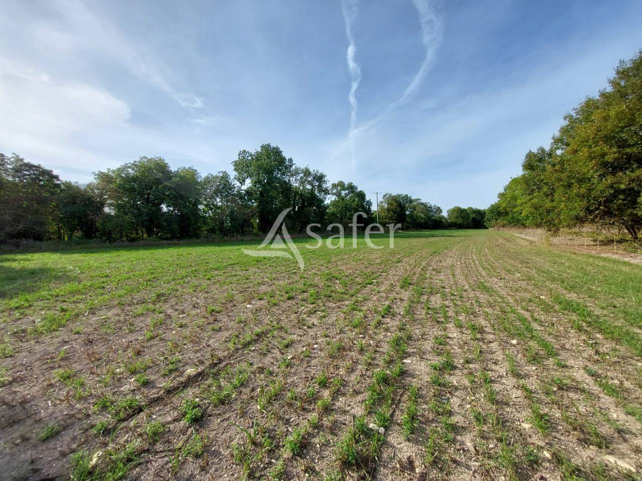 Explotación hortensa En venta Charente Marítimo