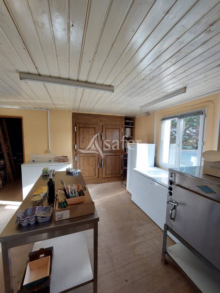 Explotaci&oacute;n hortensa En venta Charente Mar&iacute;timo