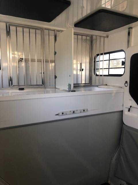 Furgoneta para caballos Trans Box Svelto 4 2020 De segunda mano