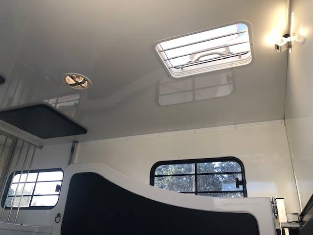 Furgoneta para caballos Trans Box Svelto 4 2020 De segunda mano