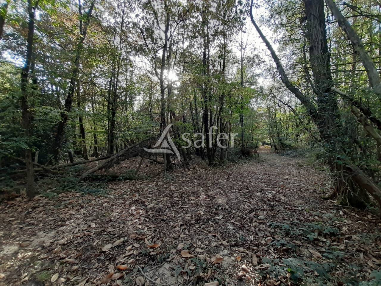 Propiedad rural En venta Vienne