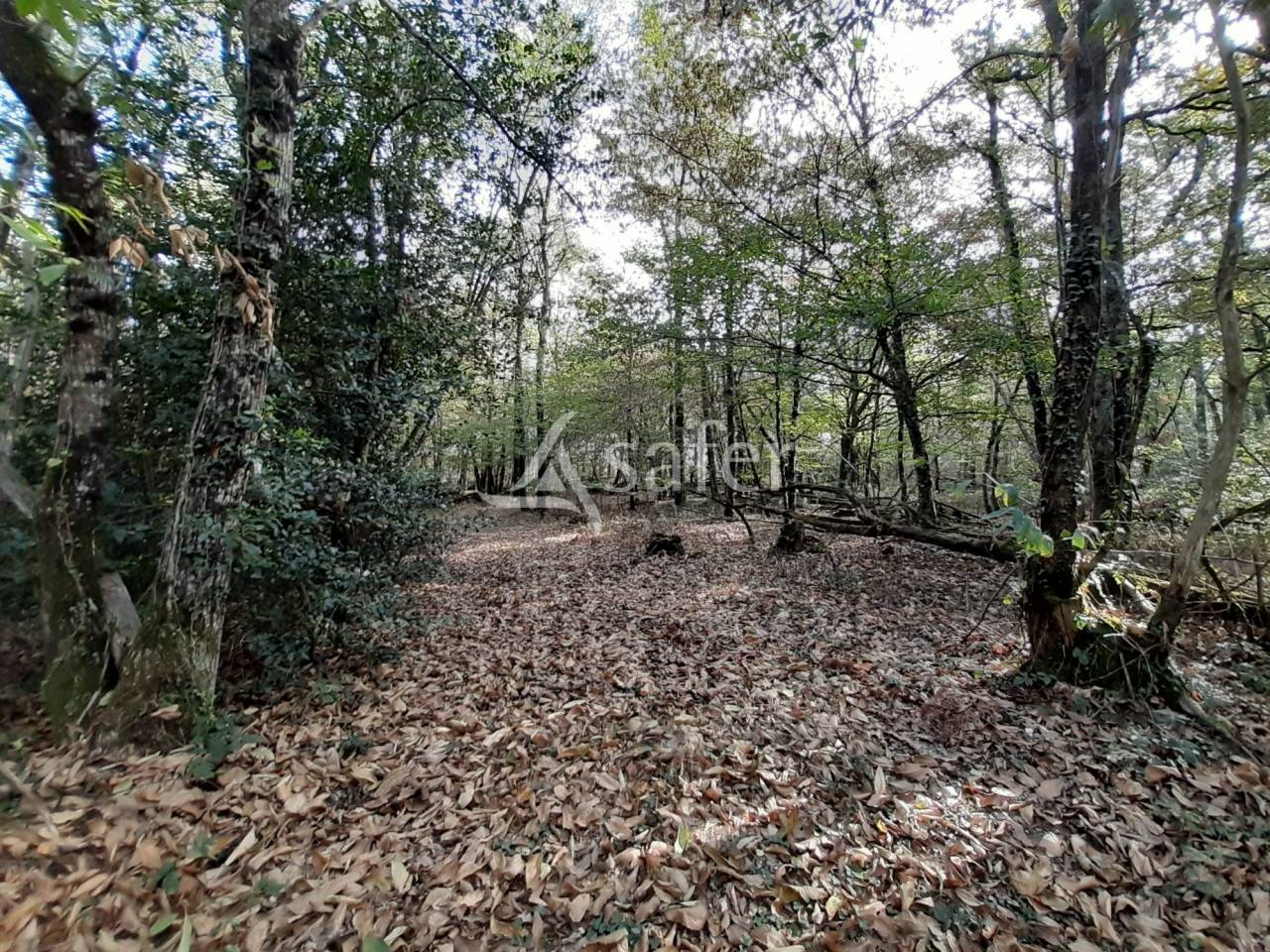 Propiedad rural En venta Vienne