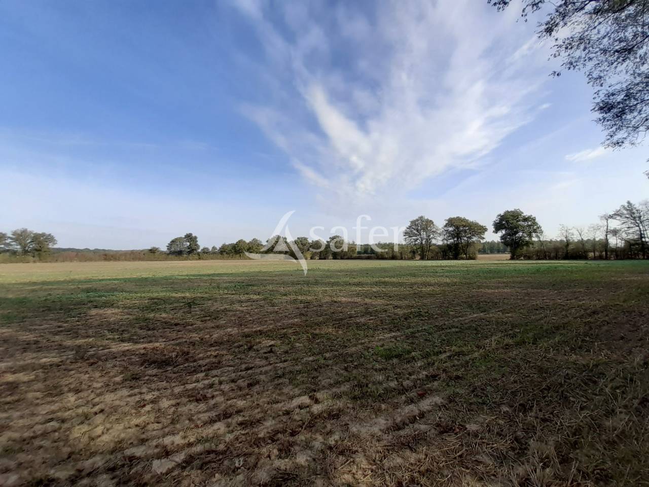 Propiedad rural En venta Vienne