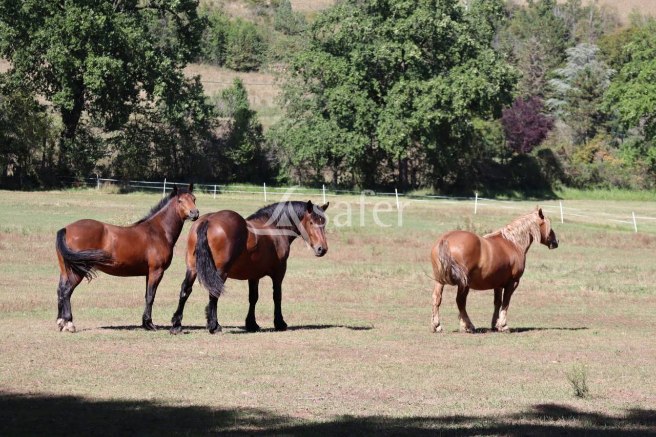 Propiedad rural En venta Puy-de-Dôme