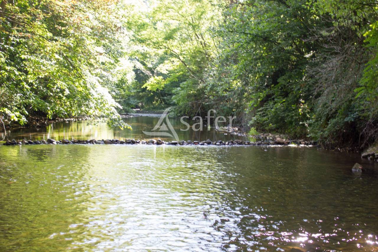 Propiedad rural En venta Puy-de-Dôme