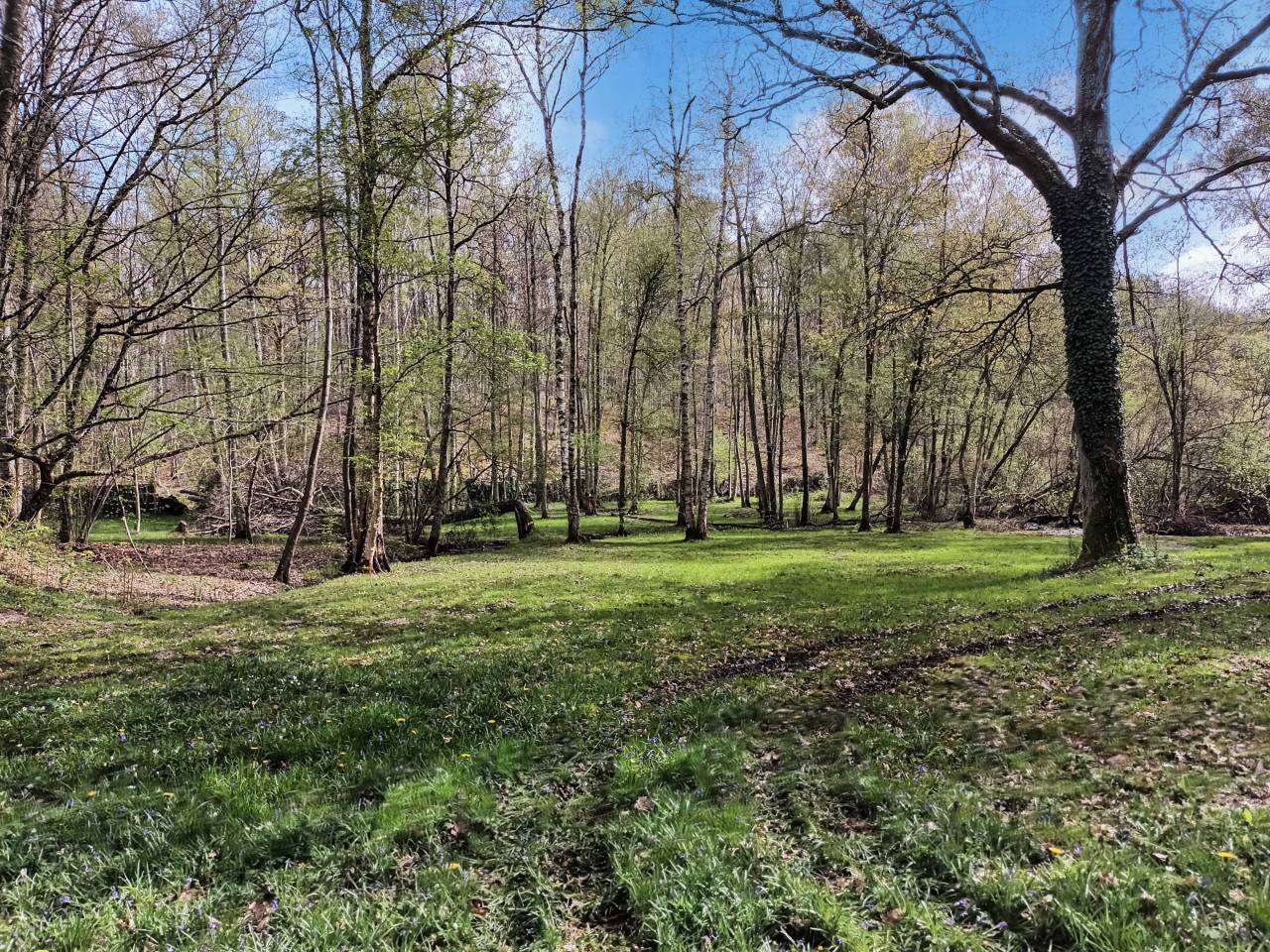 Bonita residencia ecuestre En venta Yvelines