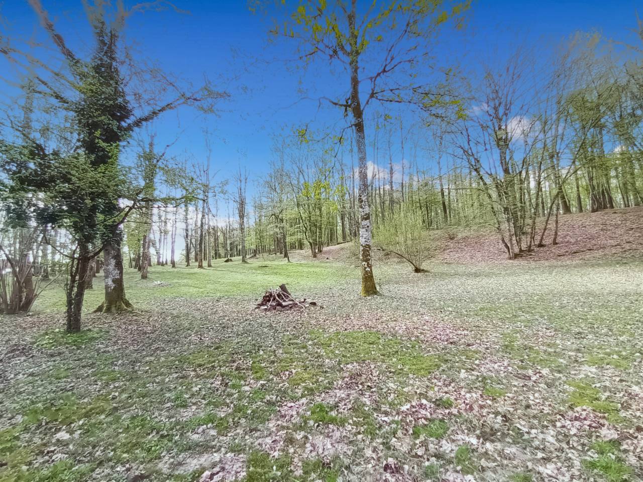 Bonita residencia ecuestre En venta Yvelines