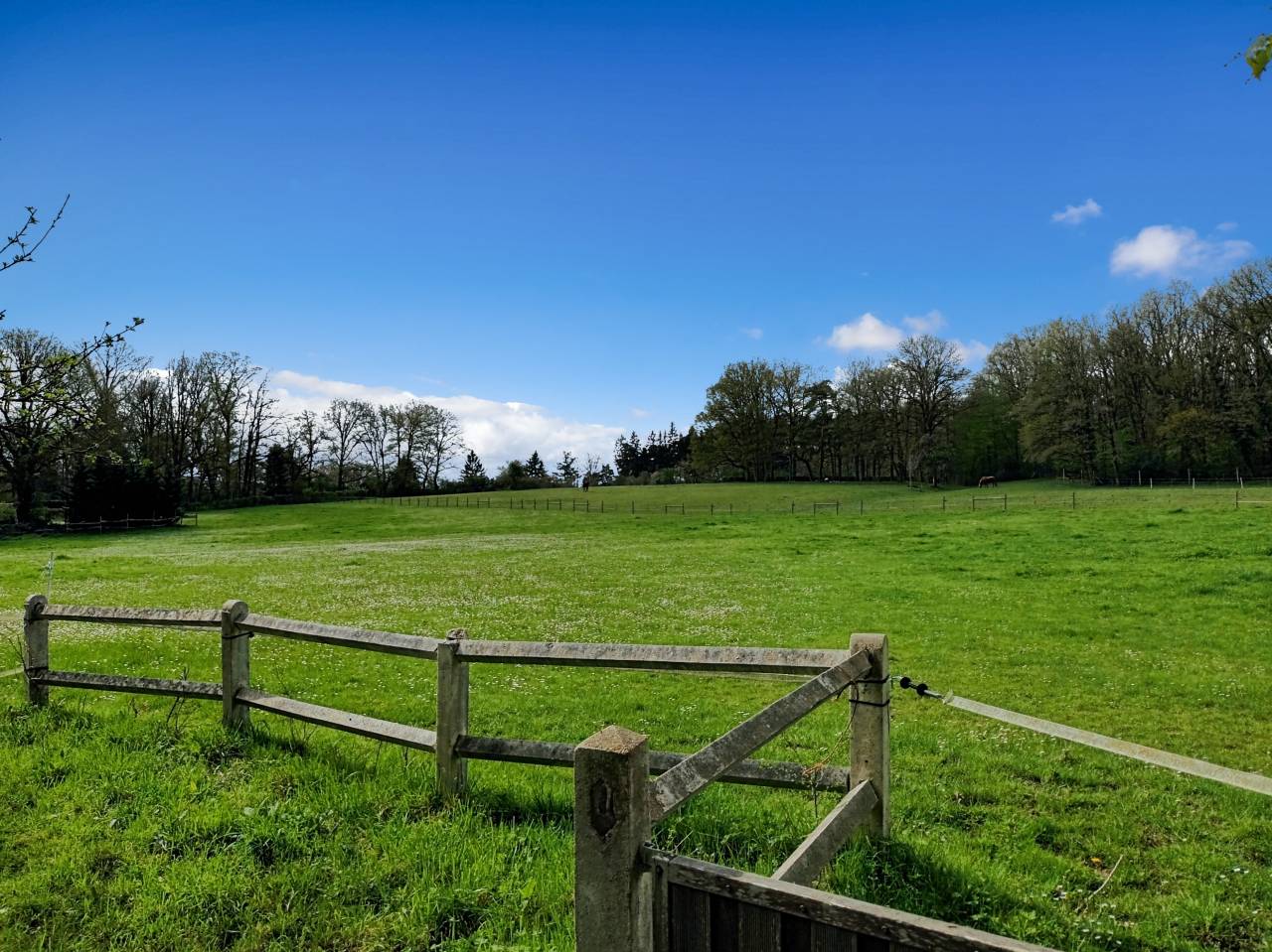 Bonita residencia ecuestre En venta Yvelines