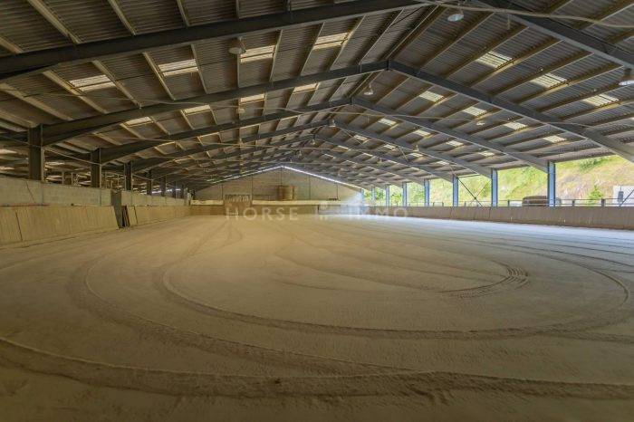 Propiedad ecuestre En venta Loira