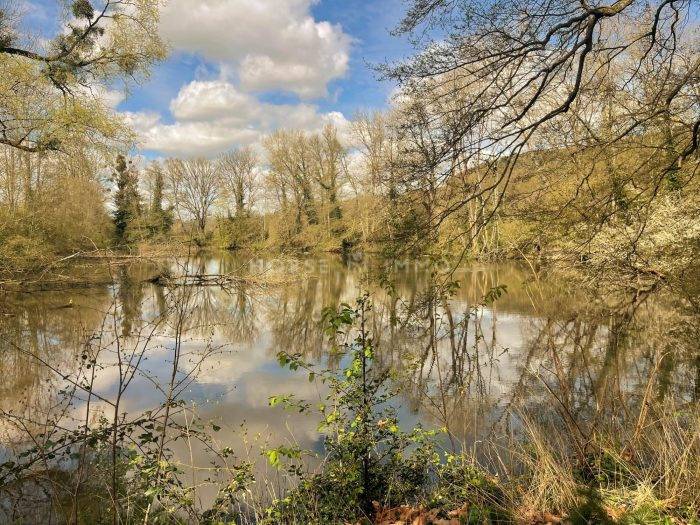 Propiedad ecuestre En venta Orne