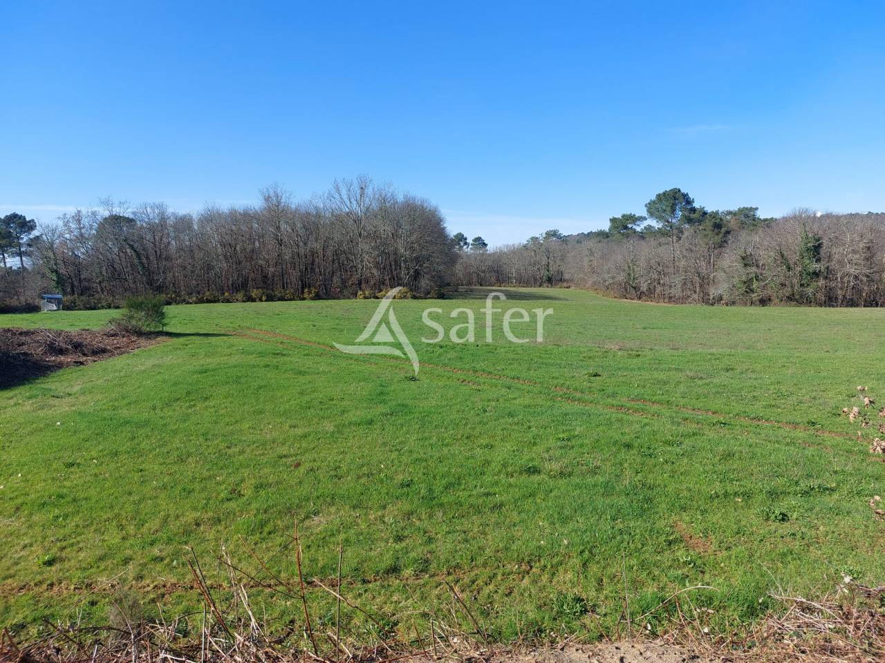 Propiedad ecuestre En venta Dordoña