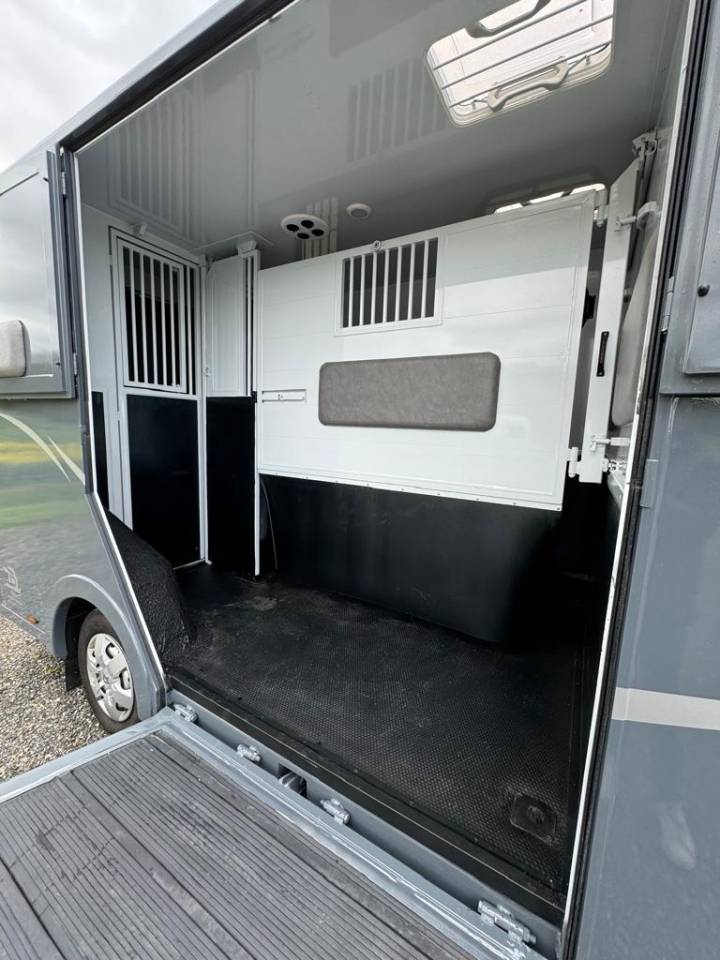 Furgoneta para caballos STX Master 2024 Nuevo