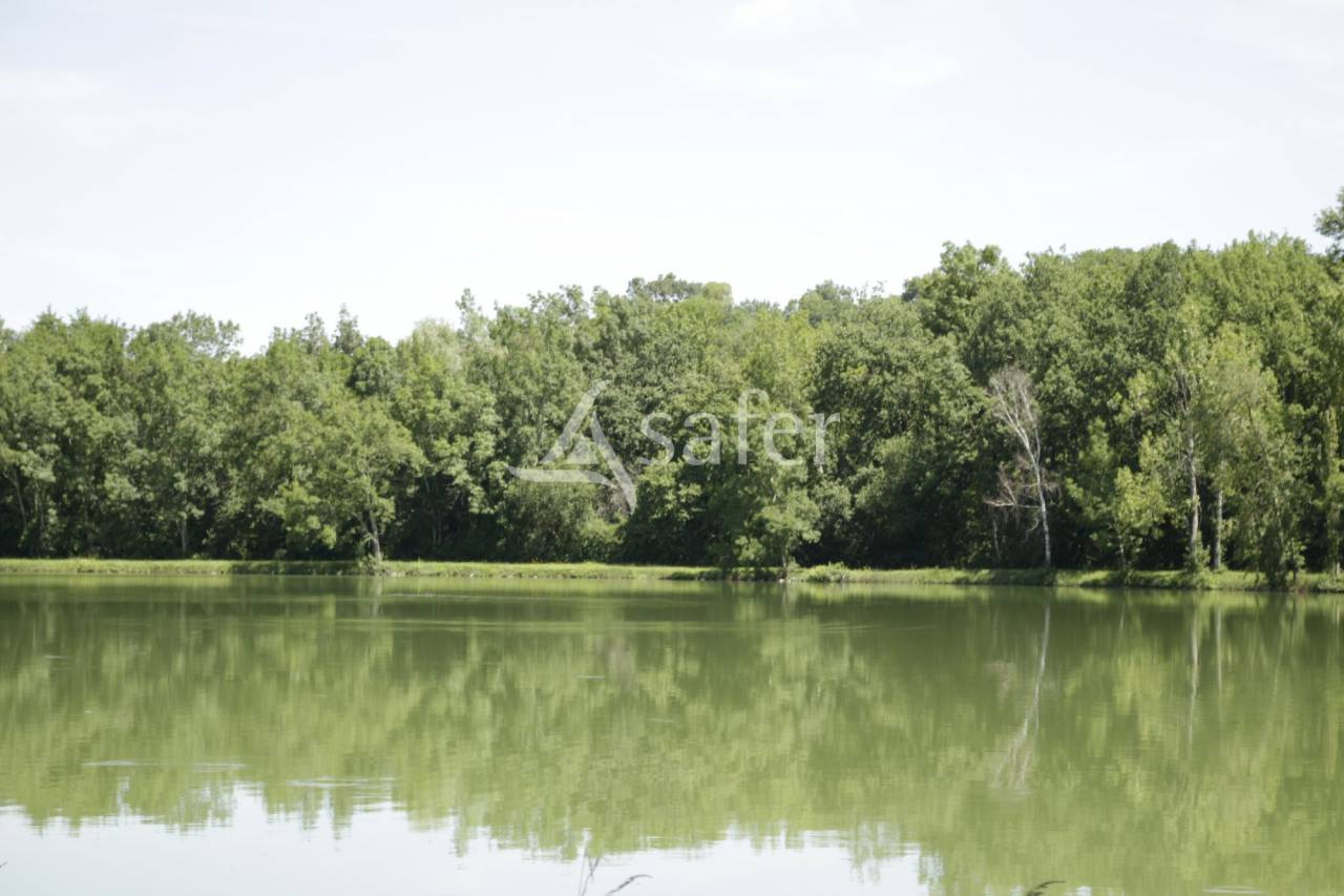 Propiedad rural En venta Alto Garona