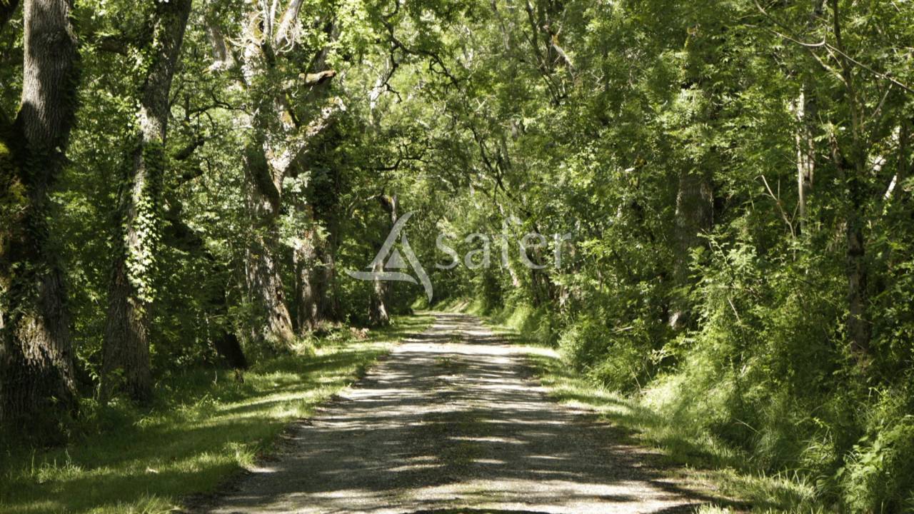 Propiedad rural En venta Alto Garona