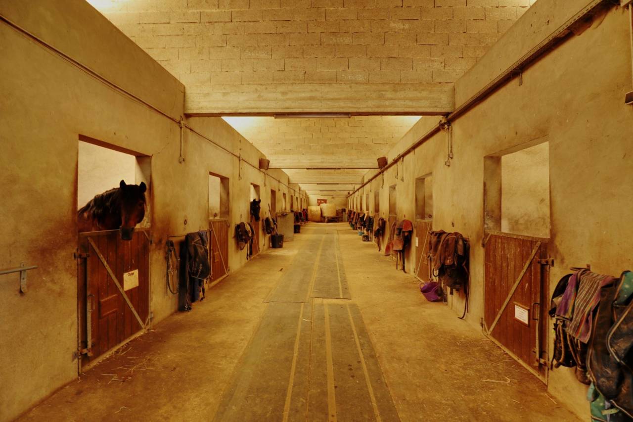 Cuadra de propietarios En venta Sena y Marne