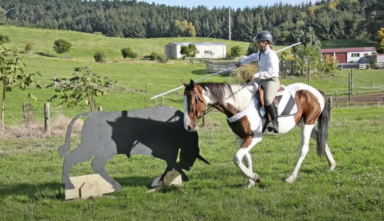 Caballo castrado Origine Constatée En venta 2021 Bayo