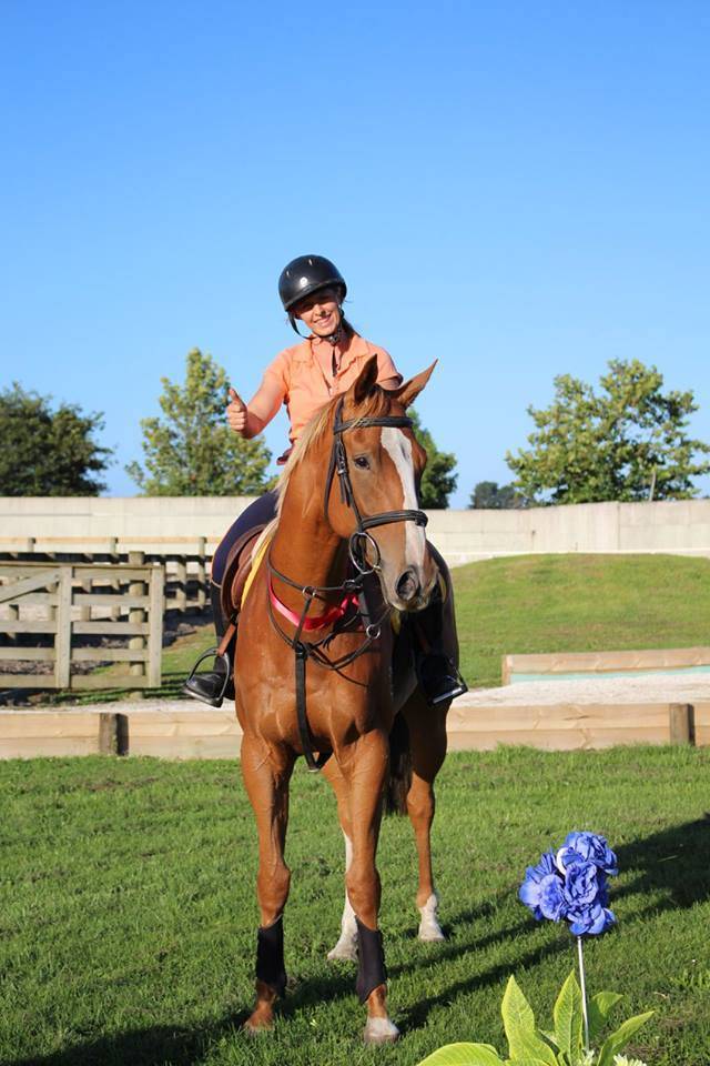 Caballo castrado Origine Constatée En venta 2021 Bayo