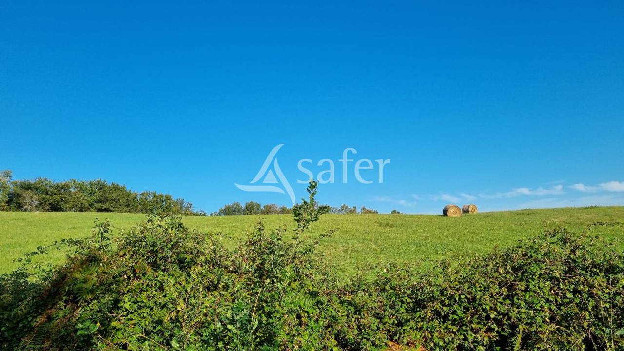 Explotación agrícola En venta Gers