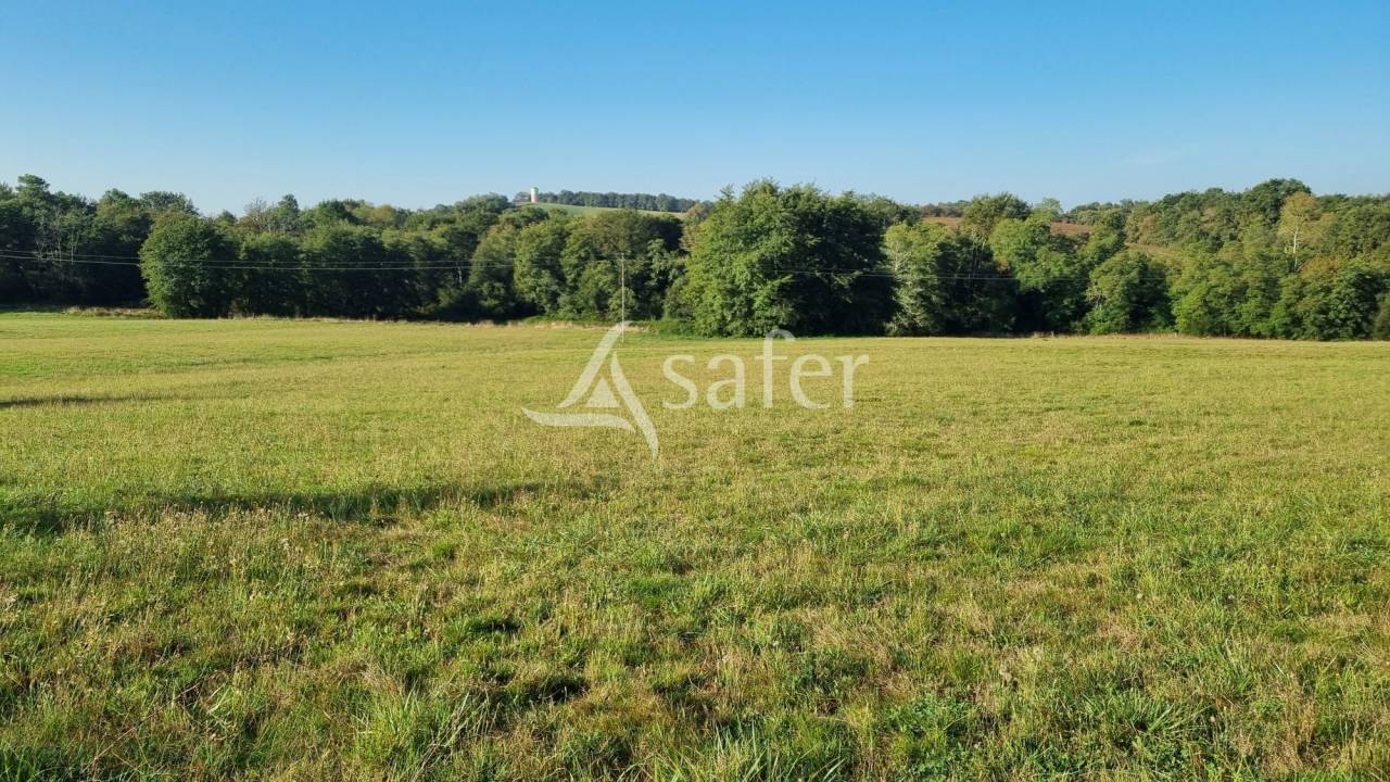 Explotación agrícola En venta Gers