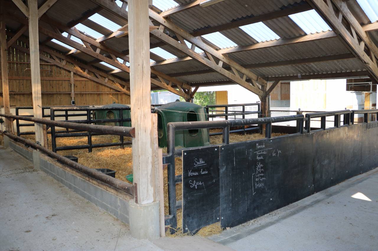 Acaballadero En venta Calvados