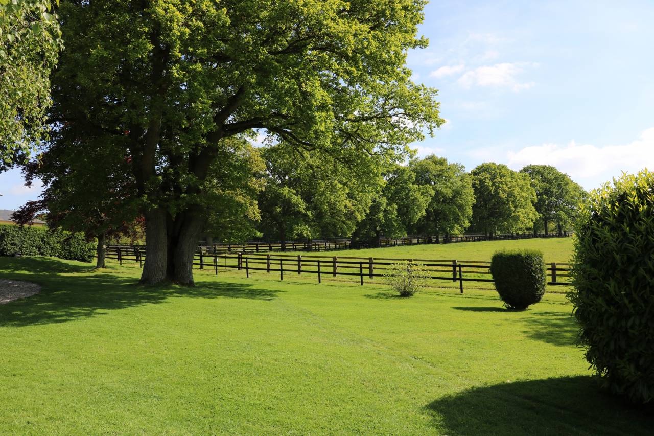 Acaballadero En venta Calvados