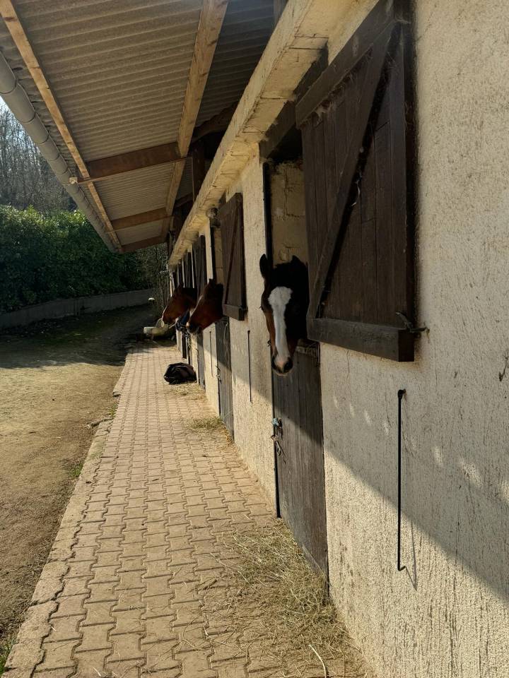 Propiedad ecuestre En venta Yonne