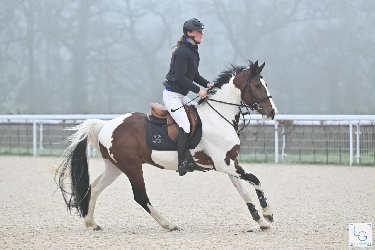 KIT'KAT D'ORCHIDEA - AES Anglo European Studbook 2020 por Lightnigth darco