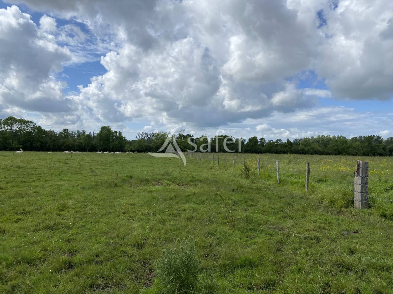 Propiedad ecuestre En venta Calvados