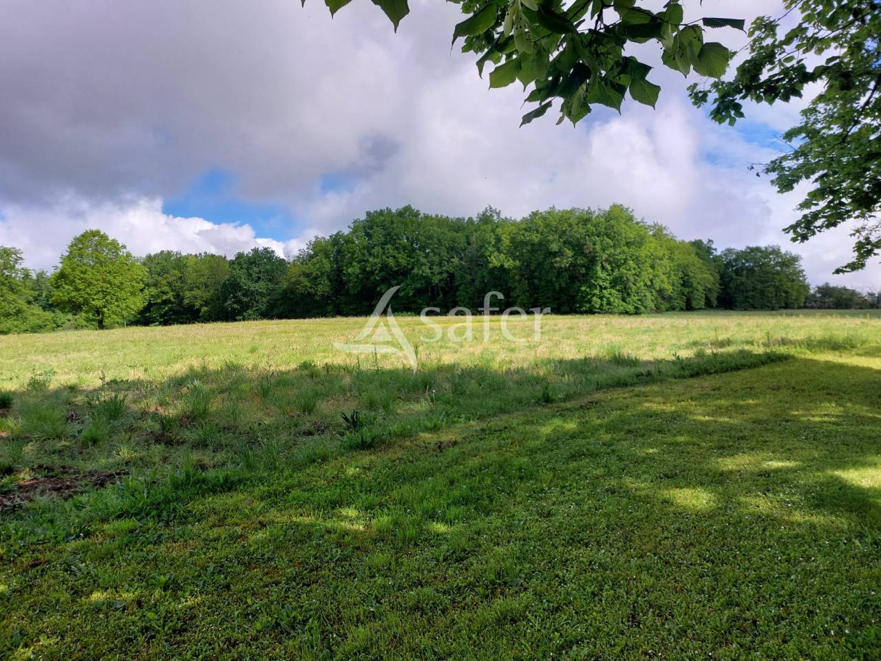 Explotación agrícola En venta Dordoña