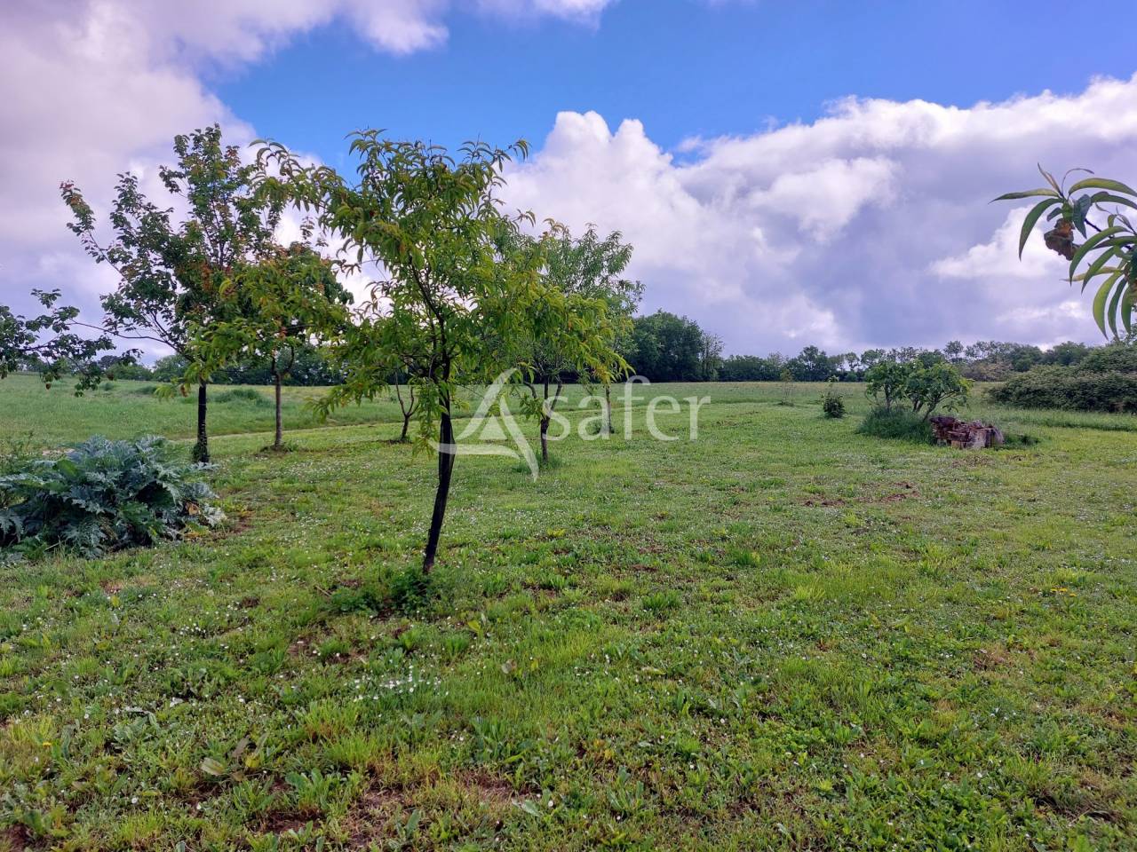 Explotación agrícola En venta Dordoña