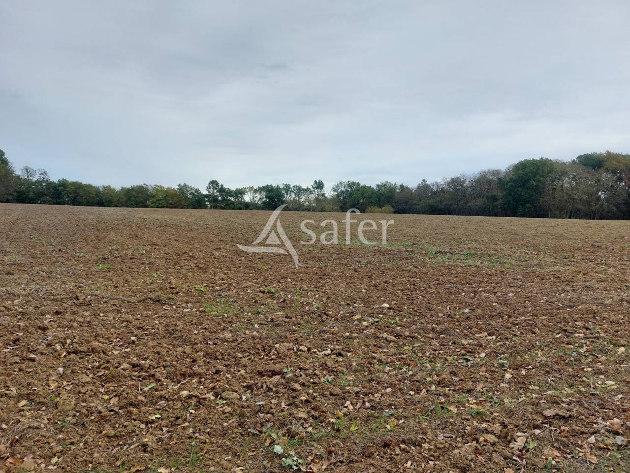 Explotación agrícola En venta Dordoña