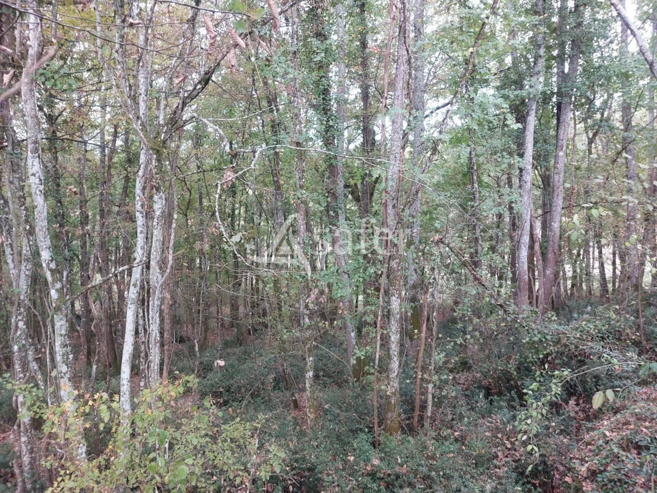 Explotación agrícola En venta Dordoña