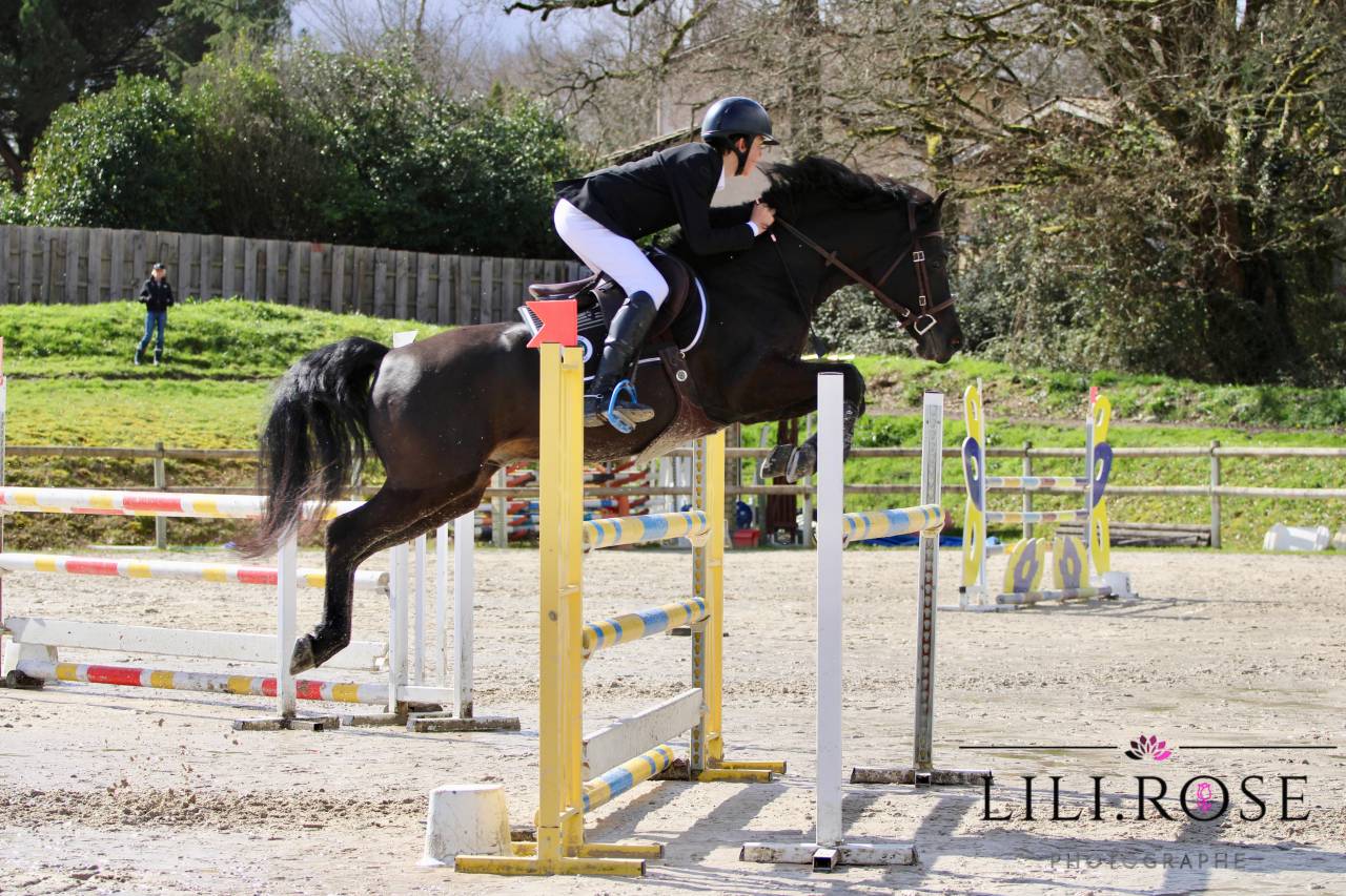 Valmont de Fougnard - PFS Poni Françés de Silla 2009 por KANTJE'S RONALDO(NLD) NF 1987