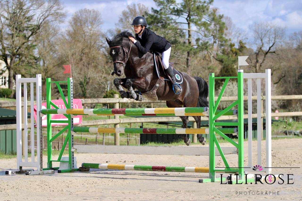 Valmont de Fougnard - PFS Poni Françés de Silla 2009 por KANTJE'S RONALDO(NLD) NF 1987