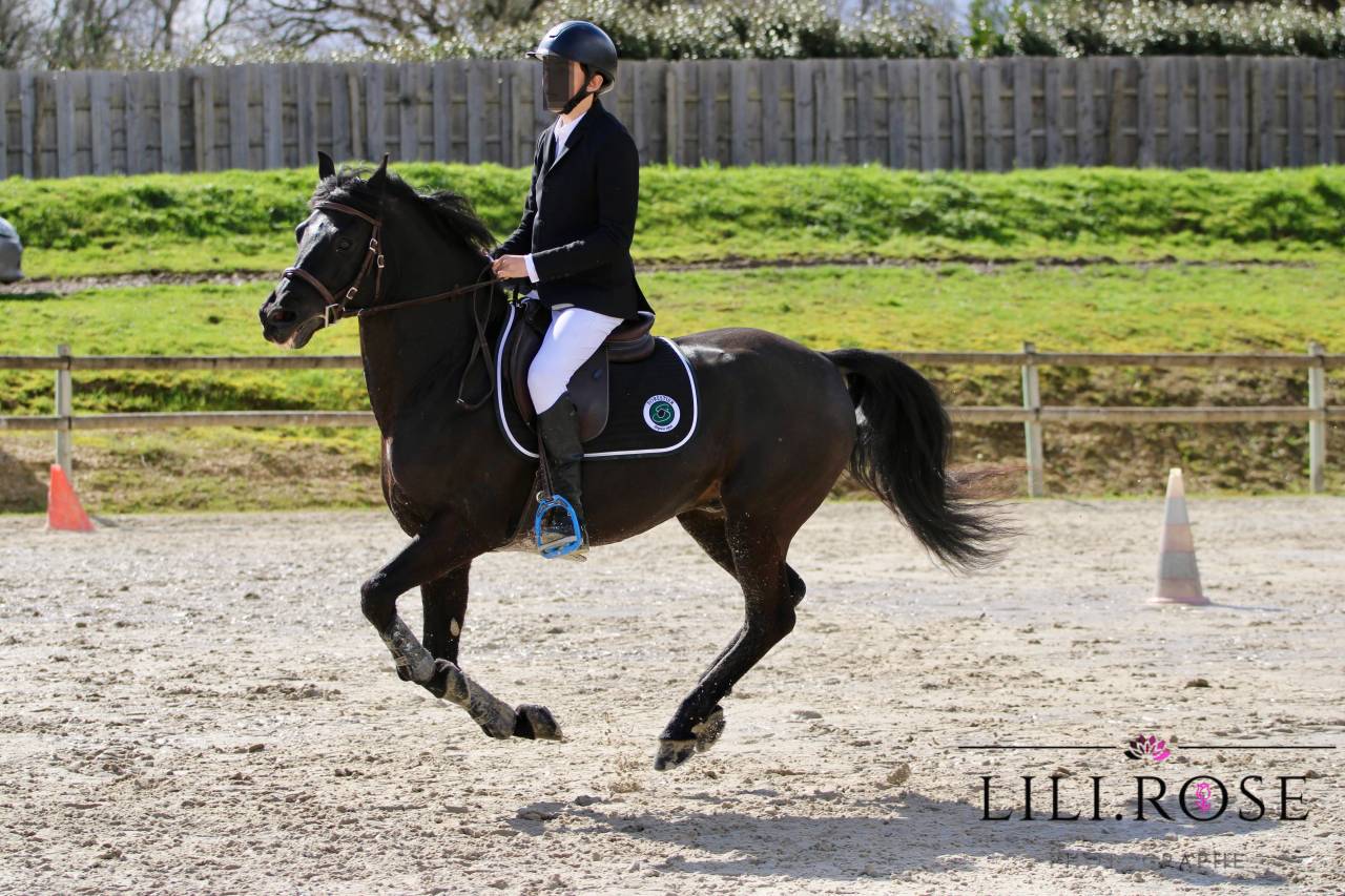 Valmont de Fougnard - PFS Poni Françés de Silla 2009 por KANTJE'S RONALDO(NLD) NF 1987