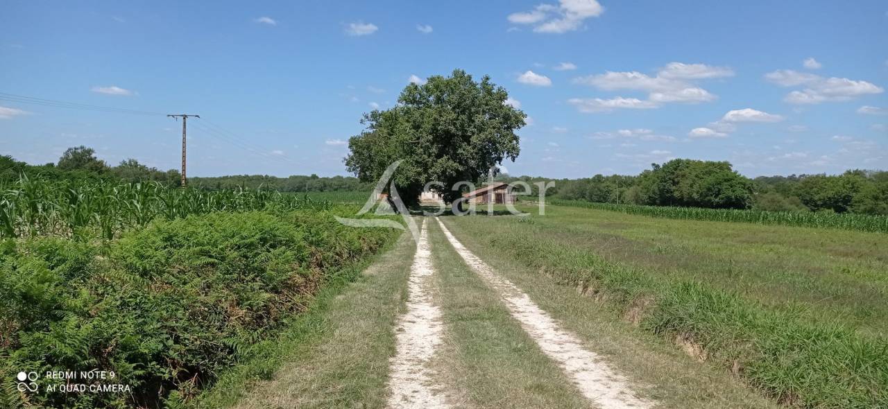 Explotación agrícola En venta Landas