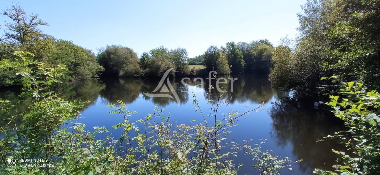 Explotación agrícola En venta Landas