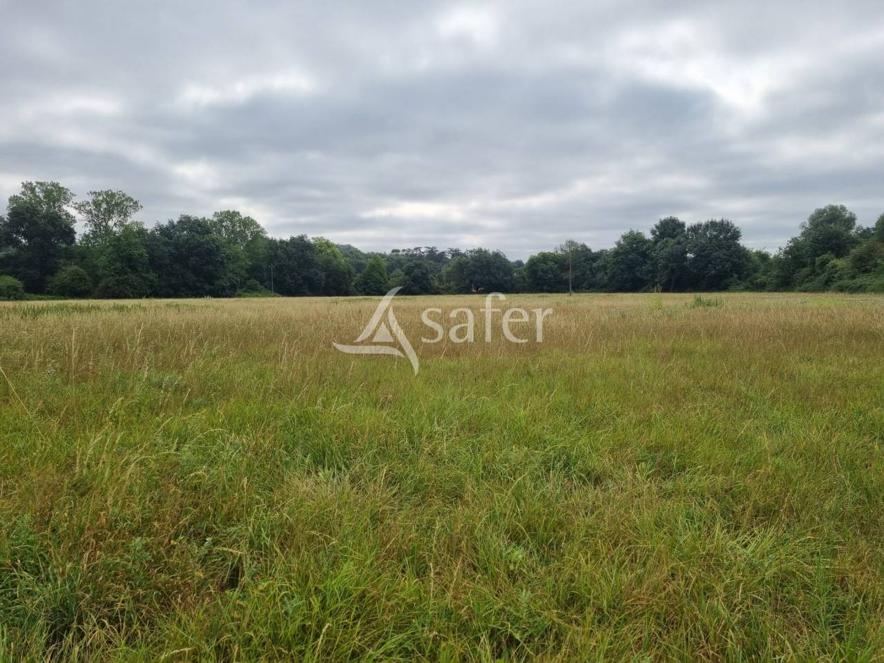 Explotación agrícola En venta Gers