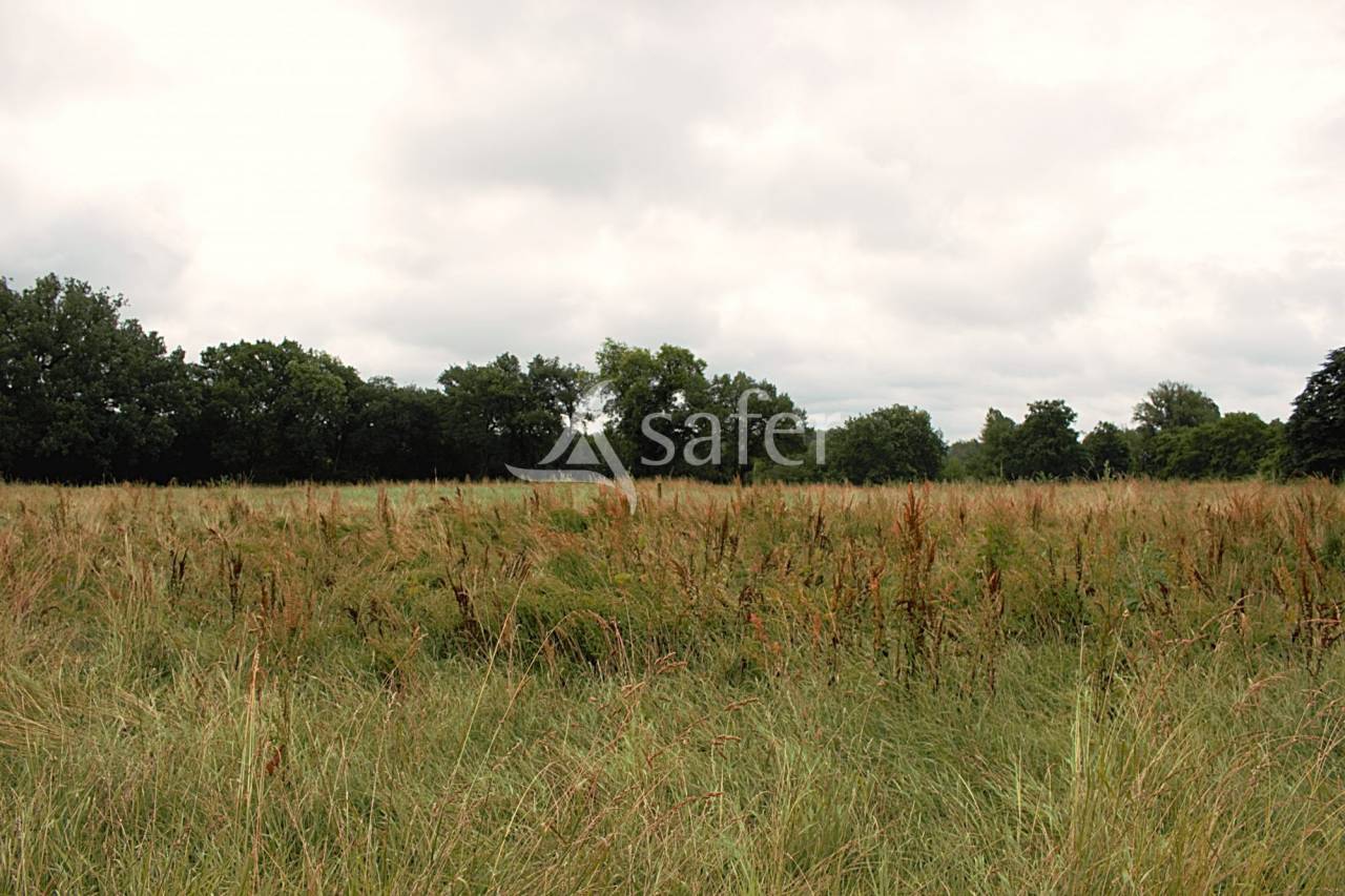 Explotación agrícola En venta Gers