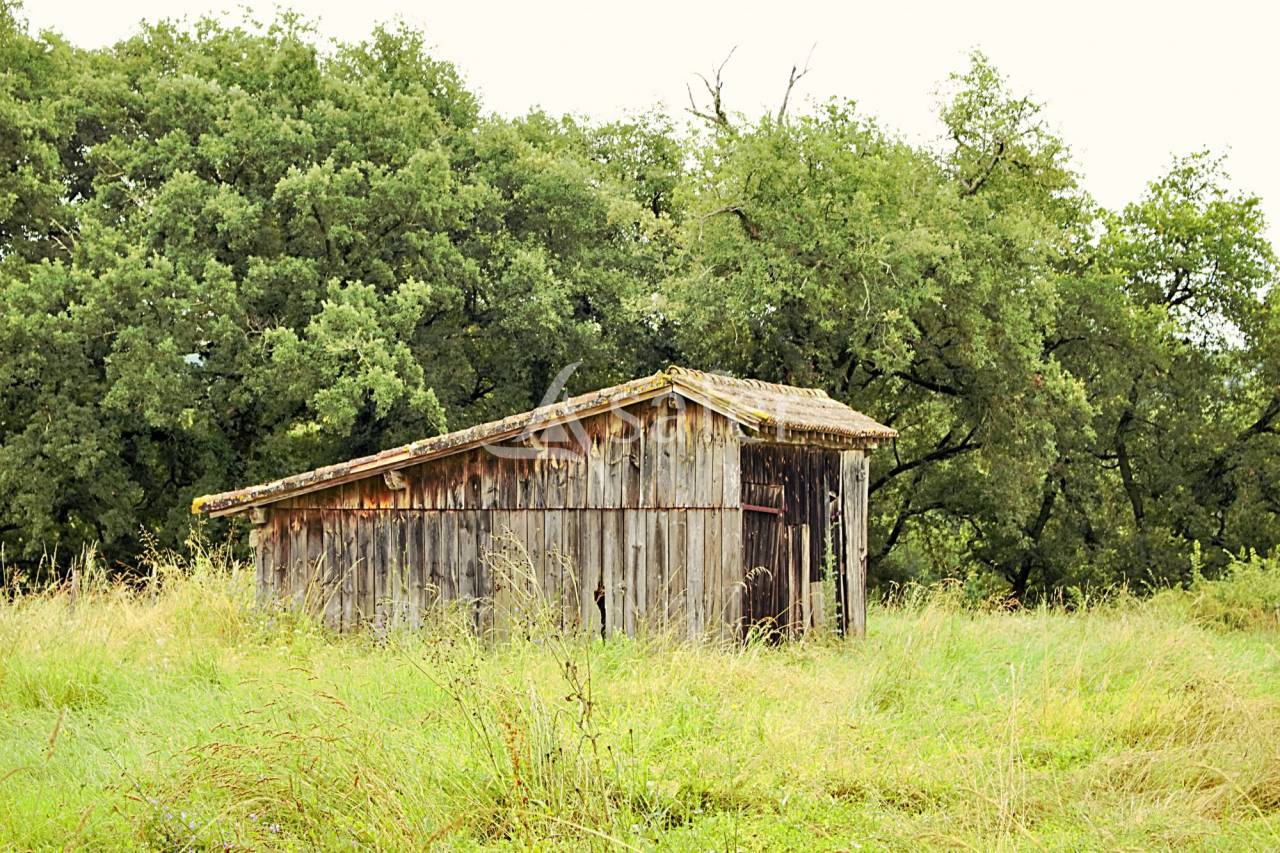 Explotación agrícola En venta Gers