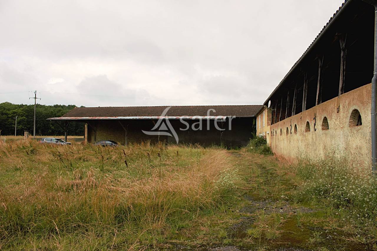 Explotación agrícola En venta Gers