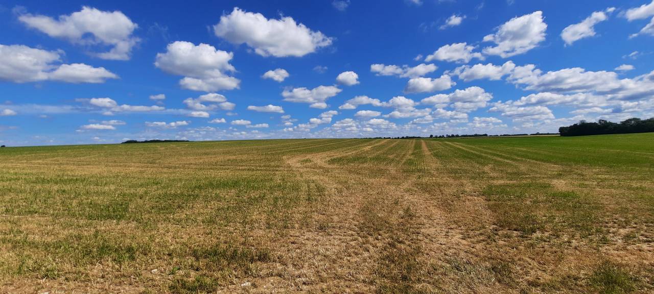 Propiedad ecuestre En venta Charente Marítimo