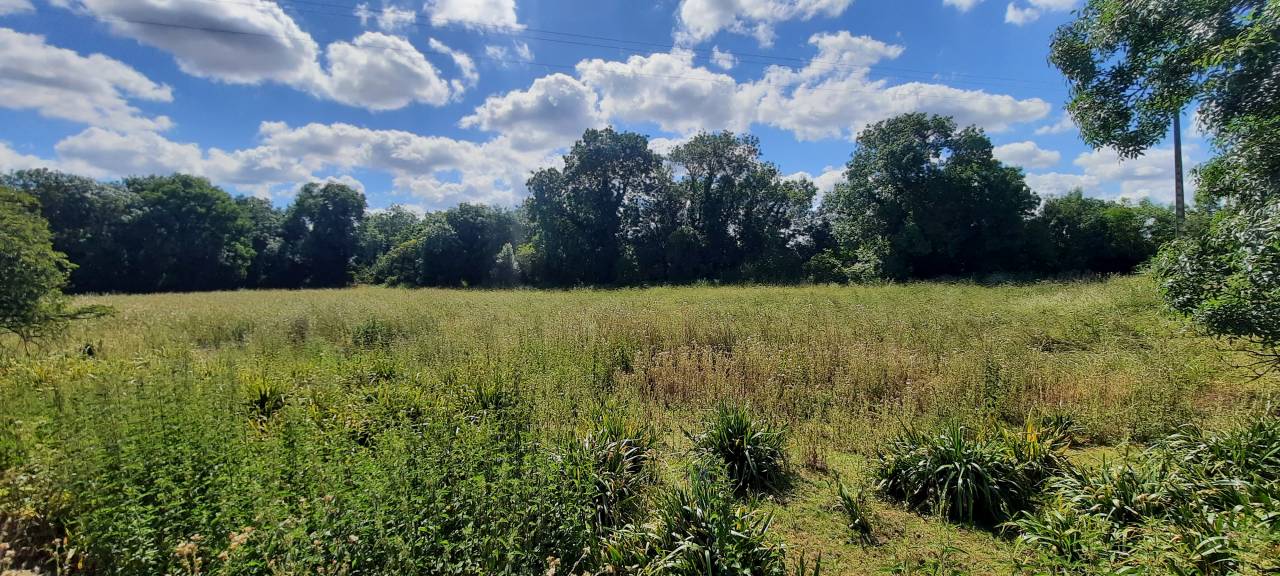 Propiedad ecuestre En venta Charente Marítimo