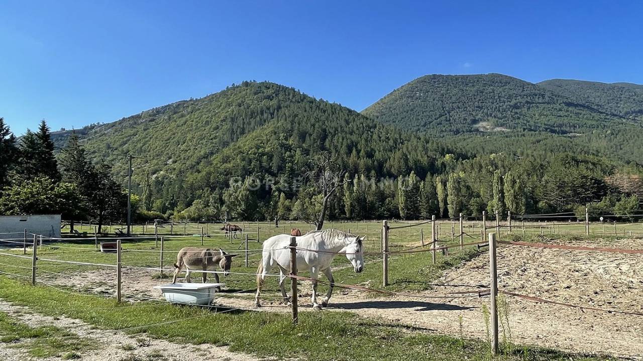 Propiedad ecuestre En venta Vaucluse