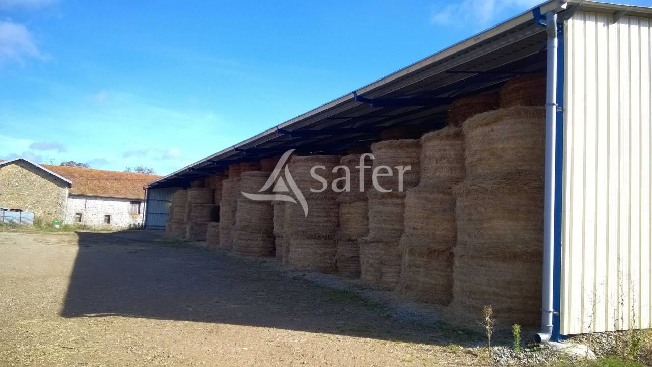 Explotación agrícola En venta Alto Vienne