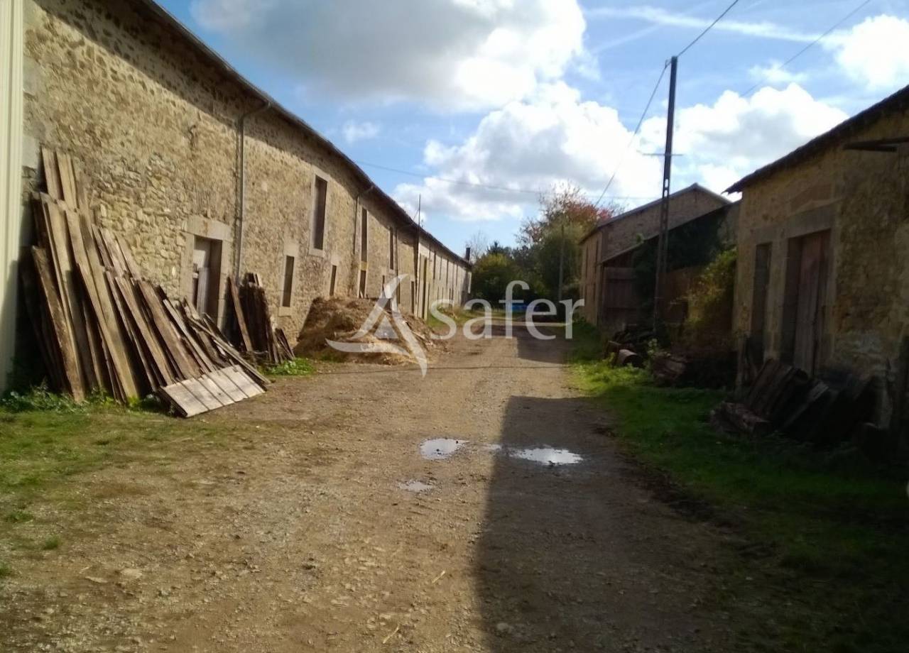 Explotación agrícola En venta Alto Vienne