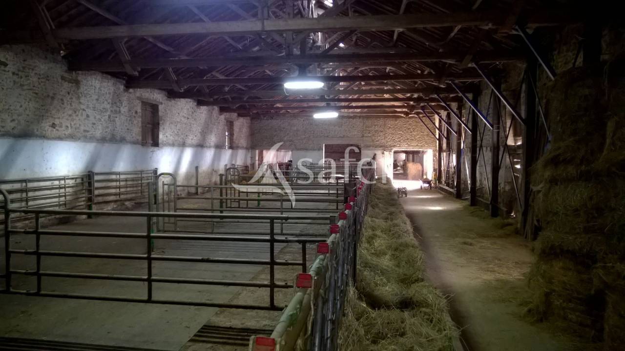 Explotación agrícola En venta Alto Vienne